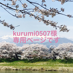 kurumi0507様専用ページ