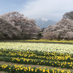 kurashun様ご予約品