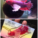 プラ板 立体金魚 ハンドメイドマーケット Minne