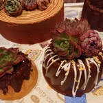 モルタルケーキ、チョコナッツクグロフ