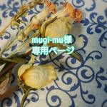 ☆ムギ☆様専用ページです
