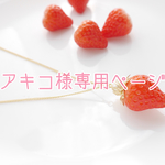 【アキコ様専用ページ】