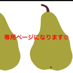 non11114444様専用