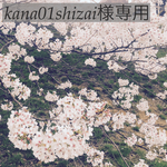 【kana01shizai様専用】
