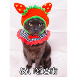 チェック柄ハートプリントレース付きシュシュ猫ちゃんの首輪