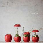 float sliced apple pot (realistic paint）アーティフィシャルフラワー