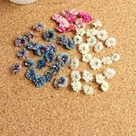 再再販！！５０輪 ★大人気★おまけ素材たっぷり かすみ草花材ドライフラワーセット② 