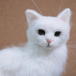 【送料無料】白猫ちゃん(和猫)