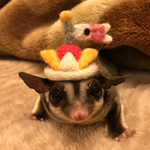 子供の日の帽子