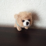 ポメラニアン