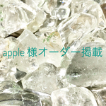 apple様 専用オーダー掲載