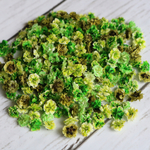 かすみ草ドライフラワー グリーンミックス