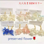 大人気再再販❗️アジサイとかすみ草プリザーブドフラワータッセルピアス＆イヤリング🌸