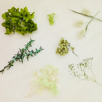 再再再販★ ハーバリウム花材キット green
