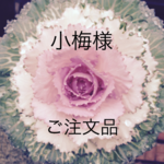 コースターセット