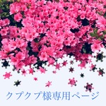クプクプ様専用ページ