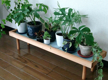 【人気作品✨】 サイズ オーダーメイド 可能 観葉植物ラック 飾り台 （Lサイズ） ガーデニング