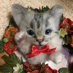 羊毛フェルトサバトラ猫のブローチ