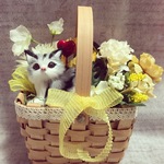 アメショ猫ちゃんの母の日かごアレンジ M イエロー