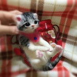 おねがいにゃんこNo.206