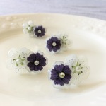 SALE★Nemophila penny black イヤリング