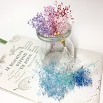 【xxeryxx様専用ページ】蕾かすみ草のピアス&イヤリング