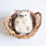 カゴ入り♪はりねずみくん