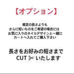 【 再販×4 】長さカット✂︎    
