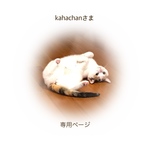 kahachanさま 専用ページ