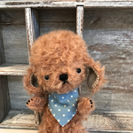 トイプードルの兄弟♪弟くん♡テディアニマル