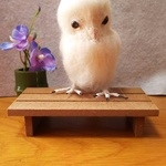 羊毛フェルト シロフクロウ(紫陽花)受注品の