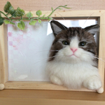 羊毛フェルト 窓ねこフォトフレーム 