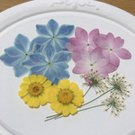 再販‼︎×2 押し花 素材 アジサイ