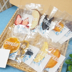 国産ドライフルーツ10種入りギフトBOX