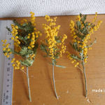 ドライフラワー　ミモザ　3本　ハーバリウム　植物標本　キャンドル　ボタニカル　フレーム　材料