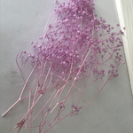 ソフトかすみ草♡パープル