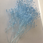 ソフトかすみ草♡ラベンダー