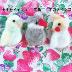 ♪インコブローチ♪