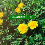 raisai様専用ページ