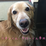 リオンくん、タローくん専用