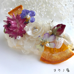 送料無料  ボタニカルオレンジバレッタ