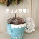Pさま専用ページです