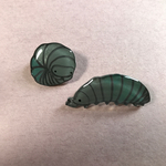 （ご予約）ダンゴムシセット