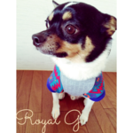 セール！！！相性バッチリ！！