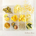 シェア花材＊イエローBox