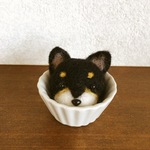 黒柴の針山