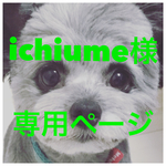 ichiume様専用ページ