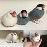 オーダー受付 文鳥 羊毛フェルト