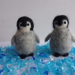 ペンギンの赤ちゃん