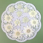 ーフランネルフラワーの押し花・12枚ー